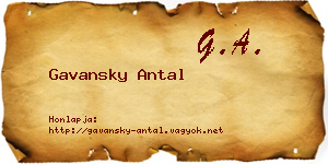 Gavansky Antal névjegykártya