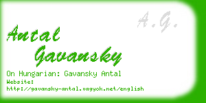 antal gavansky business card